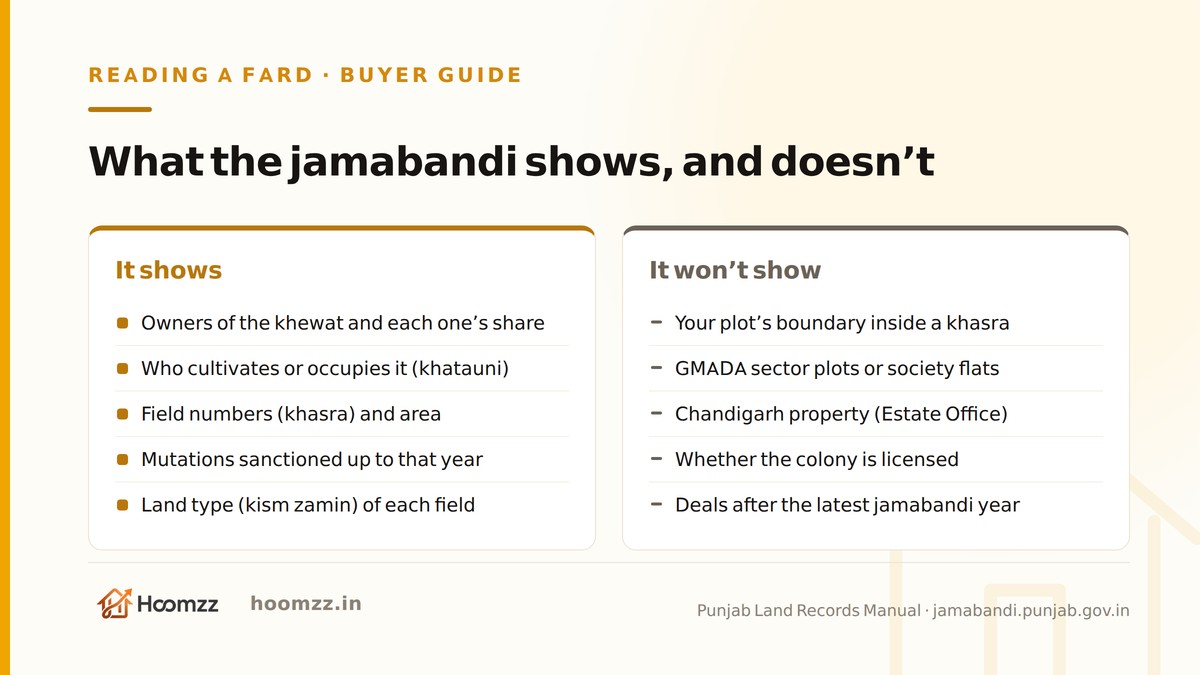 What a Punjab jamabandi shows a property buyer and what it does not